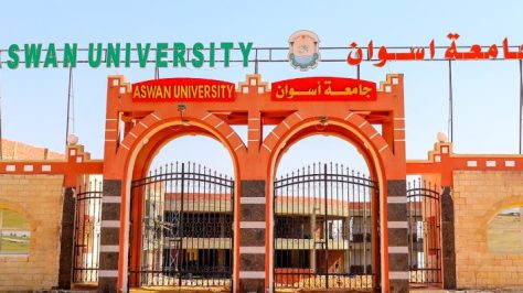 Aswan University-ifsm